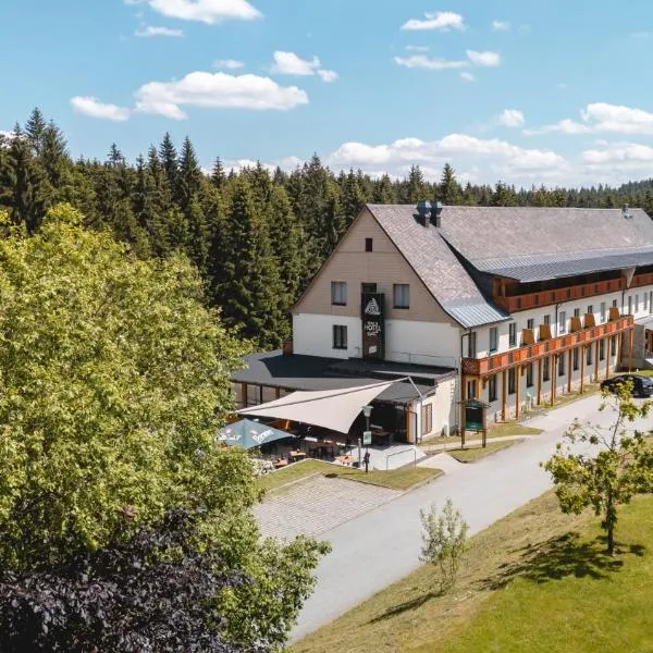 Waldhotel Vogtland, hotel v destinaci Klingenthal
