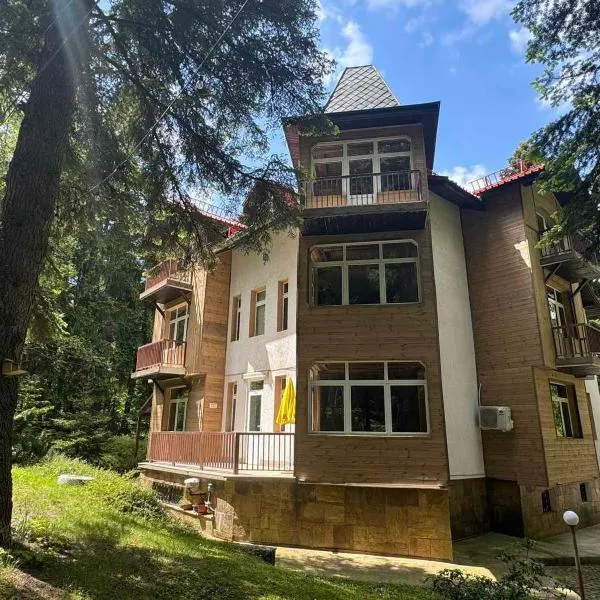 The Forest Villa Borovets by BookVillaBG, khách sạn ở Borovets