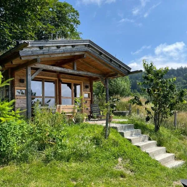 Berghütte am Grandsberg, hotel in Schwarzach