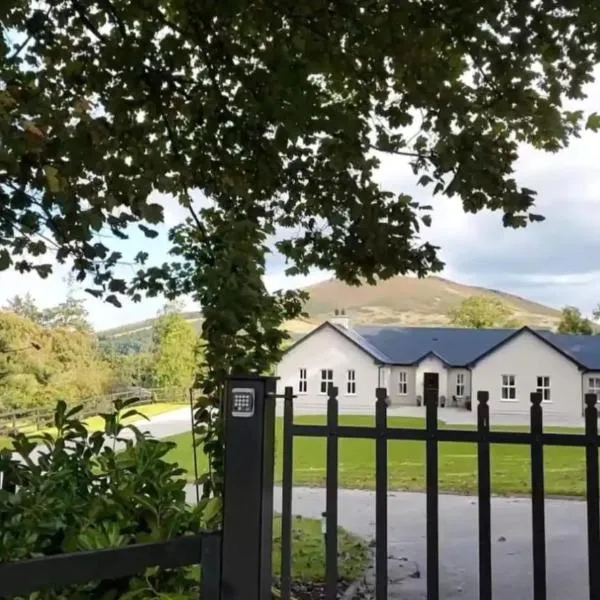 Ballyhoura Farm Escape Alpacas & Pet Lamb Feeding, hotel v mestu Ballyorgan