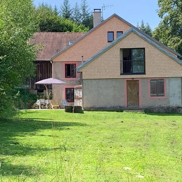 Pour les amoureux de ballades dans les Vosges - 4 nuits minimum, hotel in Bertrimoutier