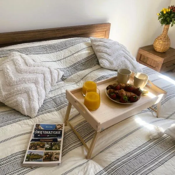 Apartamenty na Wzgórzu Boho-Jacuzzi, sauna, survival, free parking, hotel in Zagnańsk