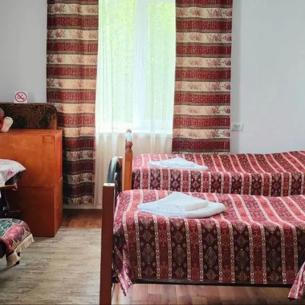 B&B in Alaverdi, hotel Szanainban