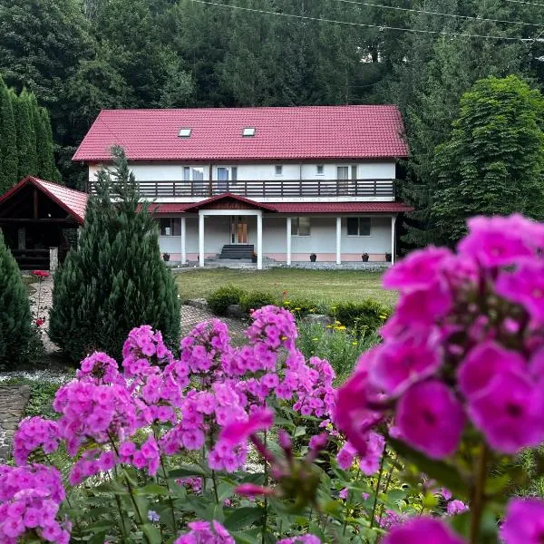 Vacation villa Sucevița, hotel in Suceviţa