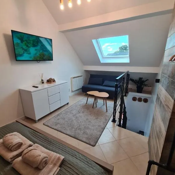 Logement indépendant dans une zone pavillonnaire au calme, situé entre Disneyland et Paris, hôtel à Ozoir-la-Ferrière