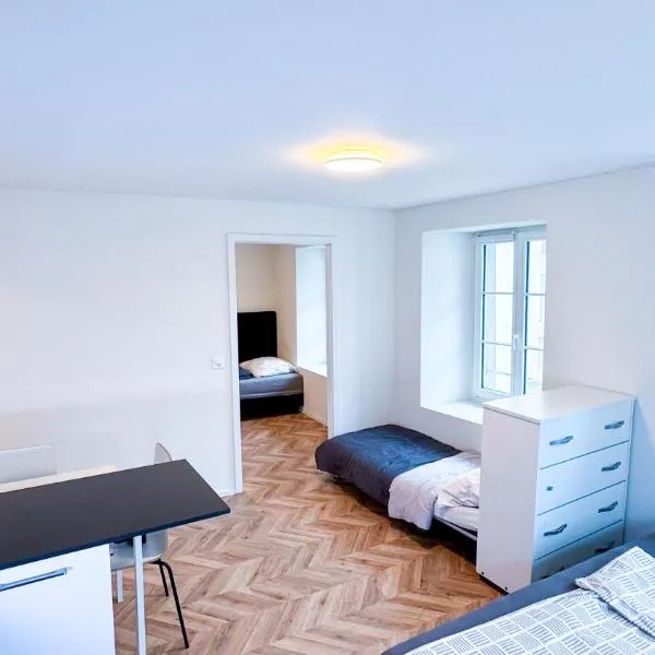 Blue Apartment by Freihofapartments, hotel v destinaci Brugg