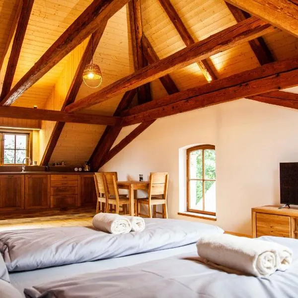 Apartmány Temechov, hotel v Želivě