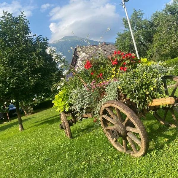 Apartma Tatjana, hotel v destinaci Žirovnica