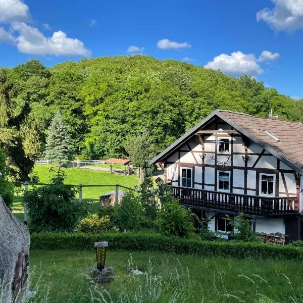 Holla die Waldfee, Hotel in Königerode