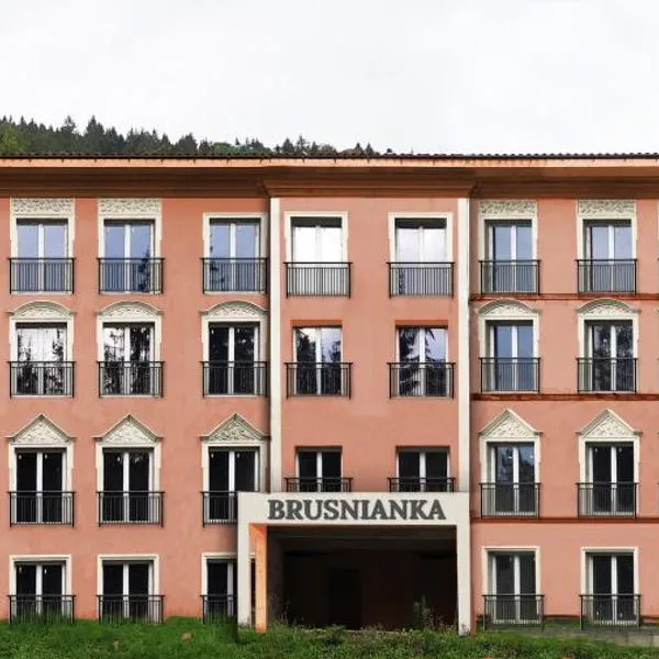 Kúpele Brusno - Kúpeľný dom BRUSNIANKA, hotel in Brusno