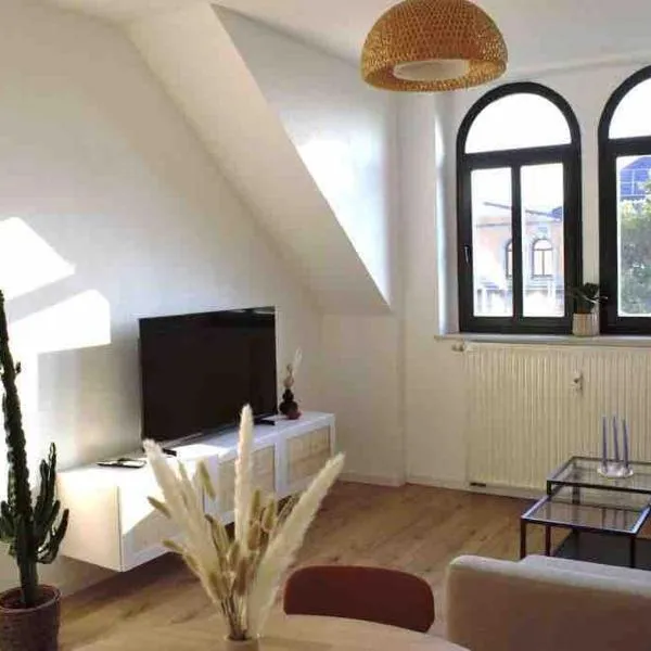 Charmante Altbauwohnung - über den Dächern Chemnitz Kaßberg, hotel in Chemnitz