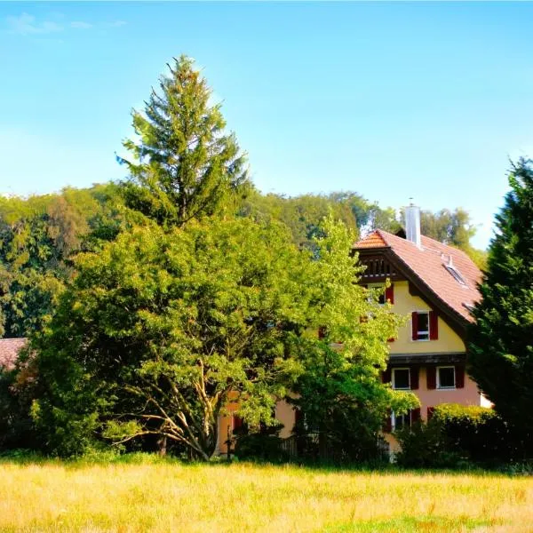 Nisihof, Abendblick, Hotel in Oberkirch