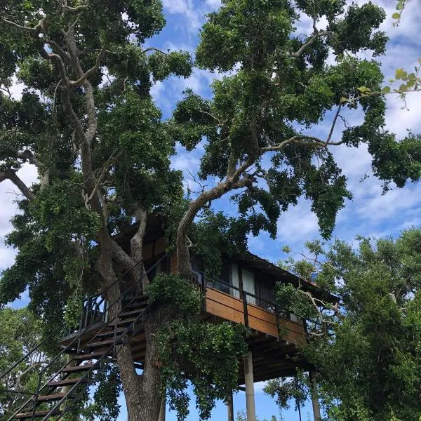 Eagle Eye Yala, hotel in Yala