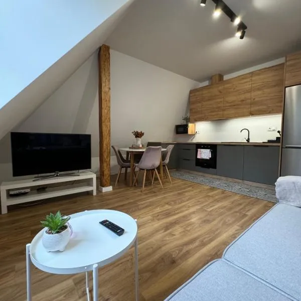 Apartament 2 Willa Bellevue、Rabka-Zdrojのホテル