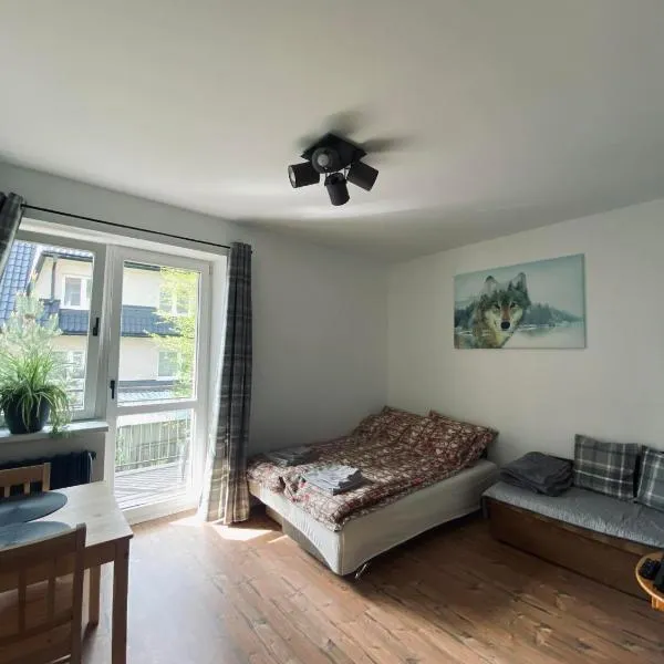 Apartament Wilcze Zacisze, hotel in Biały Dunajec