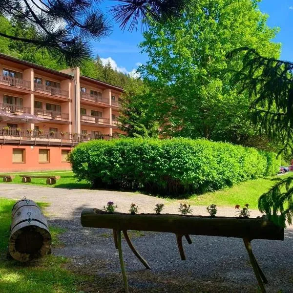Horský Hotel Podjavorník, hotel v destinaci Papradno
