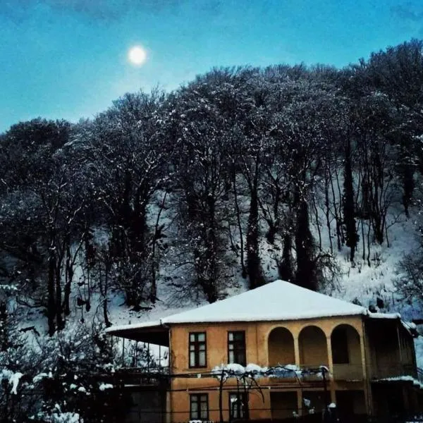 Ezo, hotel a Jvari