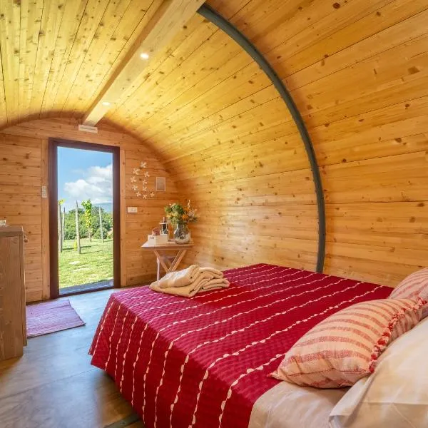 Dormire in una botte - Antiche Vigne Pironti، فندق في Marzi