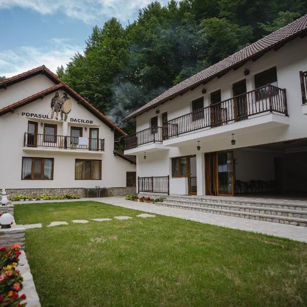 Vila Popasul Dacilor, hotel in Grădiştea de Munte