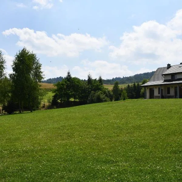 Pod Nartami, hotel v destinaci Hoczew