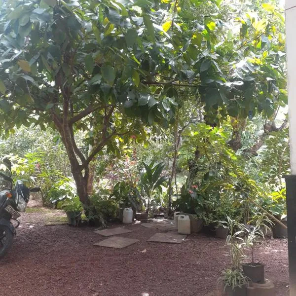 Villa Kosgoda, hotel v destinaci Kosgoda
