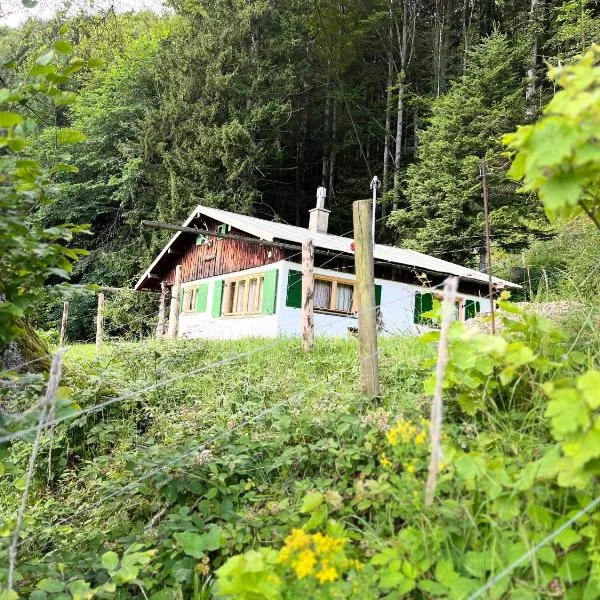 Siebenschläferhütte, hotel in Buchenberg