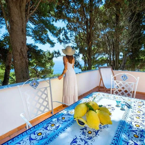Casa Schiattarella Capri, hotel in Capri
