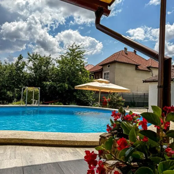 Pensiunea Vila Silva I, hotel en Haţeg