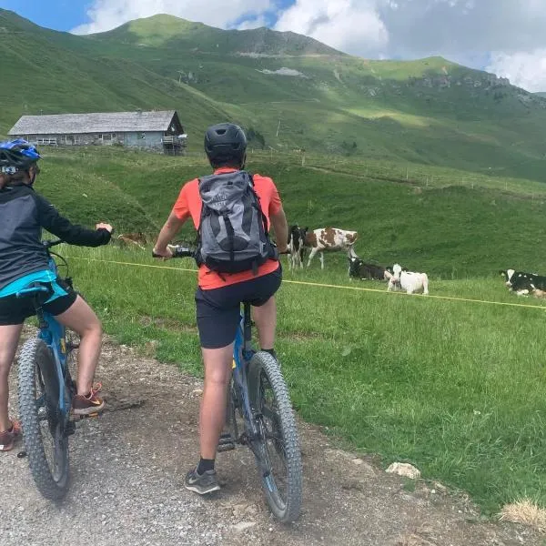 Chalet Montriond - Bike & Ski, hotel v destinaci Les Crosets