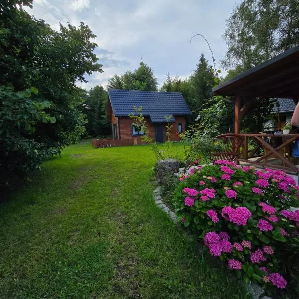 Borówkowa Agroturystyka Nad Morzem, hotel in Darłowo