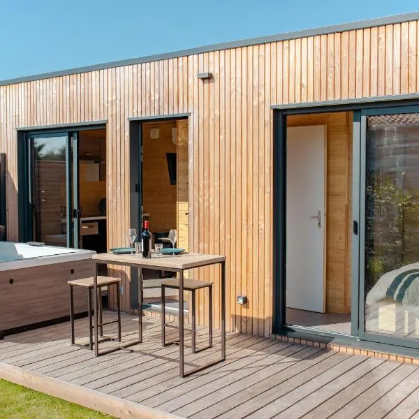 Le Laponya - Chalets climatisés avec SPA & Borne de recharge, hotell sihtkohas Bressols