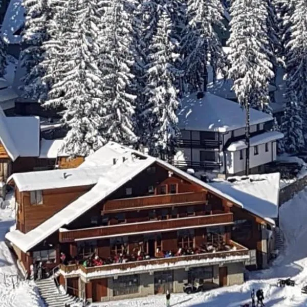 Pansion Vlašić Ski, hotel v destinaci Šišava