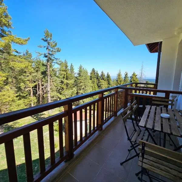 Studios and Apartments - Semiramida Gardens, hotel in Borovets