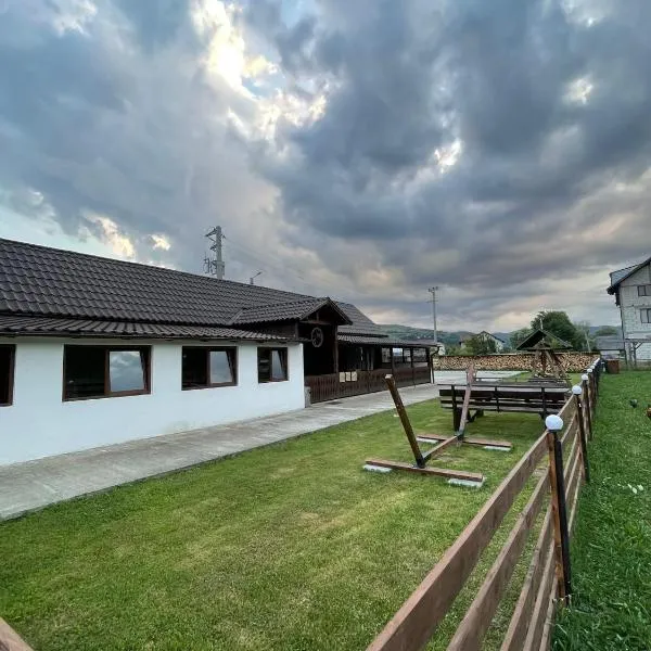Pensiunea Lucica, hotel in Vişeu de Jos