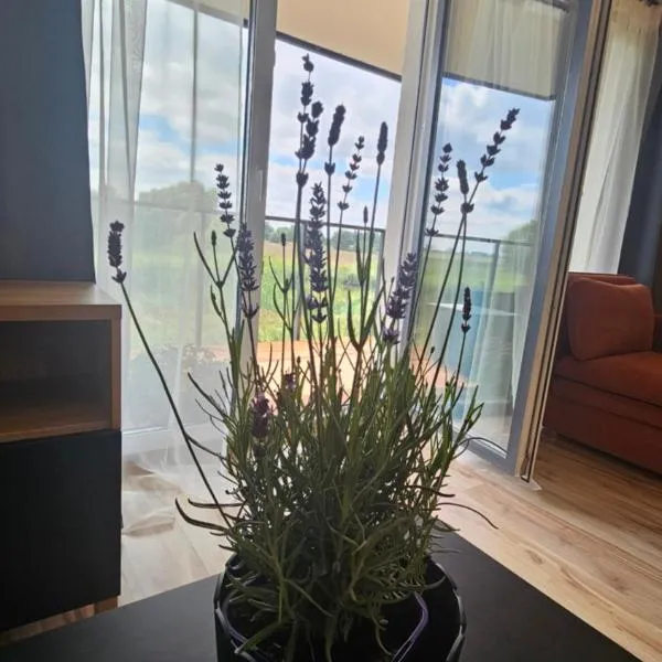 그단스크에 위치한 호텔 M&K Apartament Ptasi Raj - Wyspa Sobieszewska Gdańsk