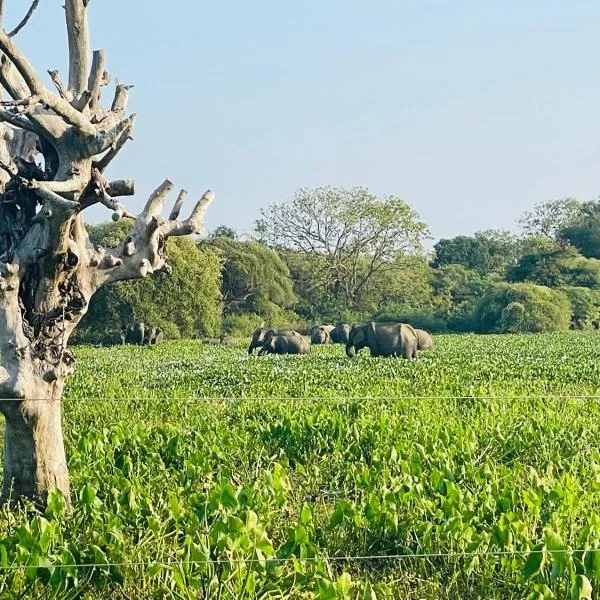 Bundala Forest Resort Yala, hotel a Weerawila