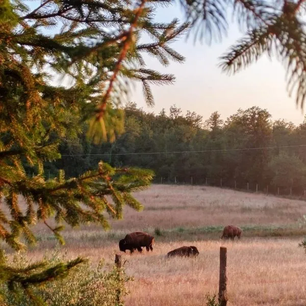 Terra dei Bisonti, отель в городе Паникале