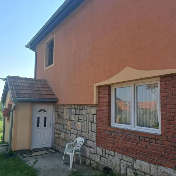 Apartmani Drndić Sjenica, hotel v destinaci Sjenica