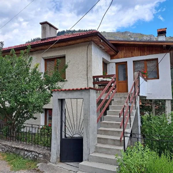 Guest house Denitsa, хотел в Триград