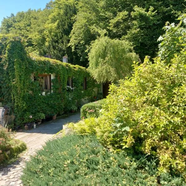 Ogród Pałacowy, hotel v destinácii Złocieniec