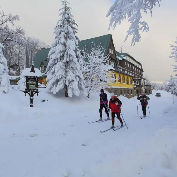 Hotel Tanecnica, отель в городе Пустевны