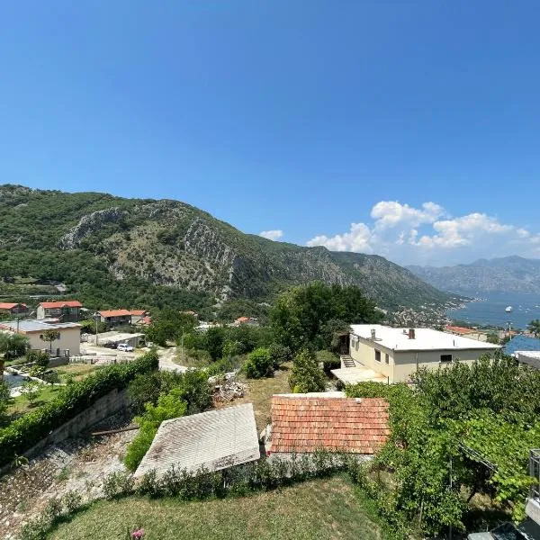 Apartment Perović, hotel in Kotor