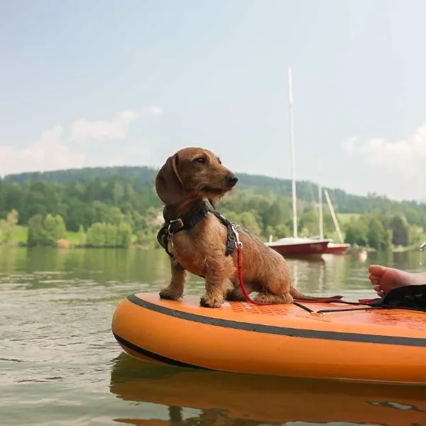 Camping Feriendorf Maltschachersee, hotel v destinaci Feldkirchen in Kärnten