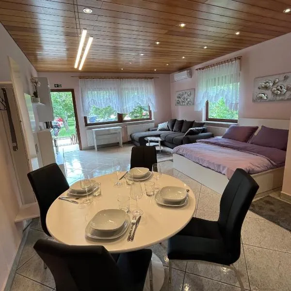 Studio apartman Anita, hotel in Velika Gorica