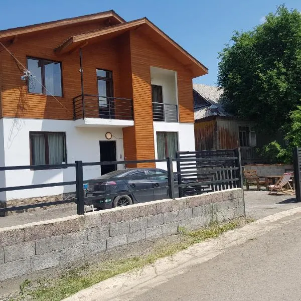 Cozy Hotel in Bakuriani, hotell sihtkohas Bakuriani