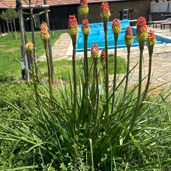 Chez le Colonel Pool House, hotel v destinaci Dobromirka