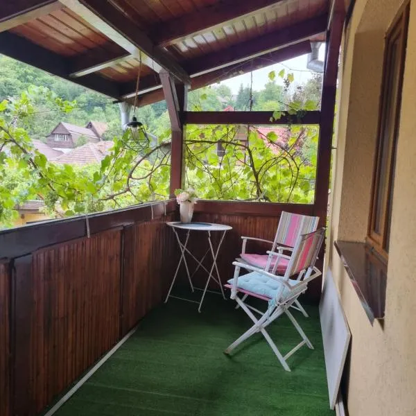 Casa Andreea, hotel v destinaci Mediaş