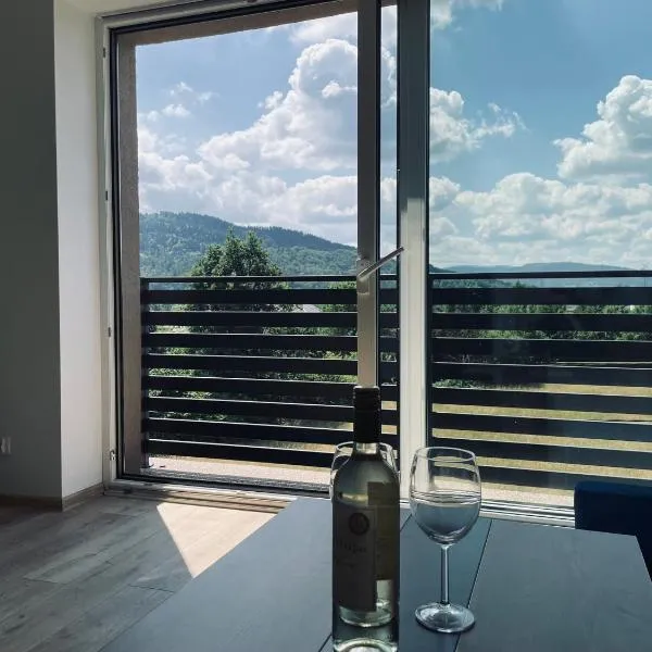 Beskid Rest Apartments, hotel v destinaci Żywiec