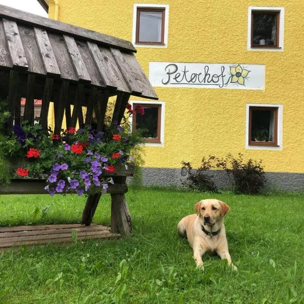 Peterhof – komm als Gast & geh als Freund, hotel v destinaci Hinterstoder