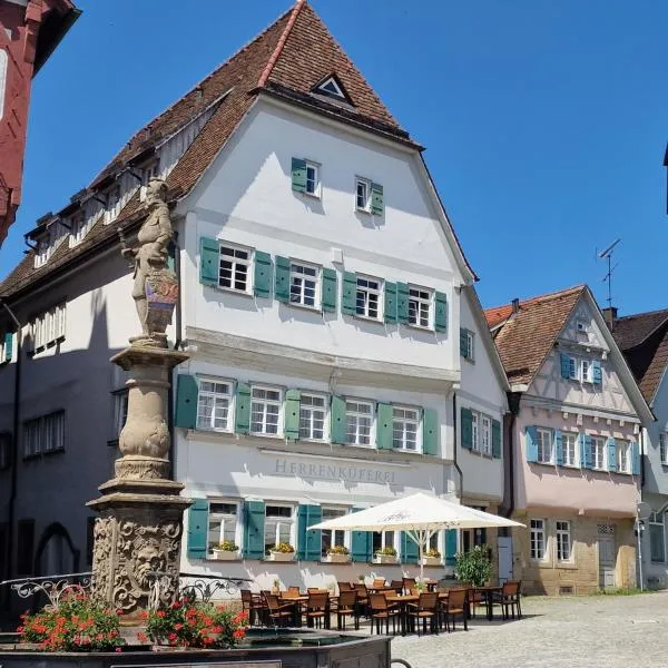 Boutique- und Businesshotel Herrenküferei, hotel v destinaci Markgröningen